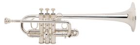 Trompete D